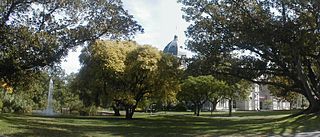 Carlton Gardens