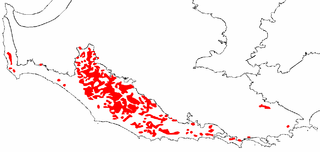 Karri forest
            distribution