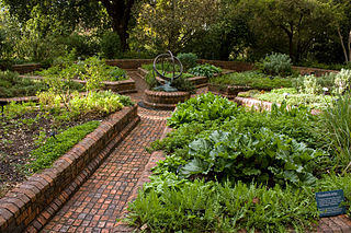 rnebourne Botantic gardens herbs