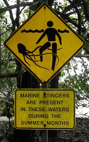 Jellyfish warning