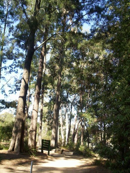 BotanicGardenCanberra