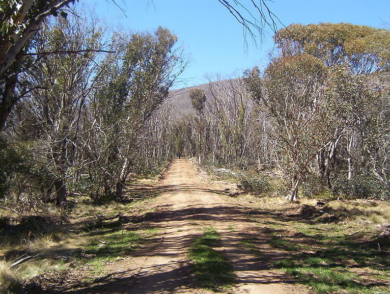 Namadgi Nastional Park walking trail