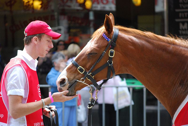 Doriemus at Flemington