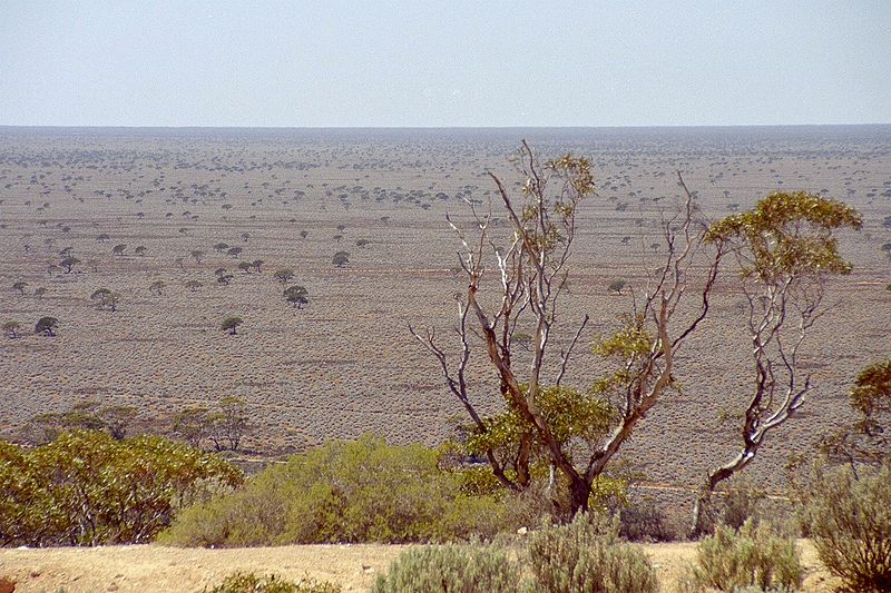 Nullabor Plain