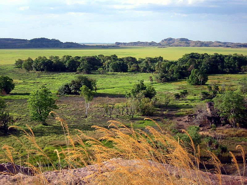 Landscape at Ubirr