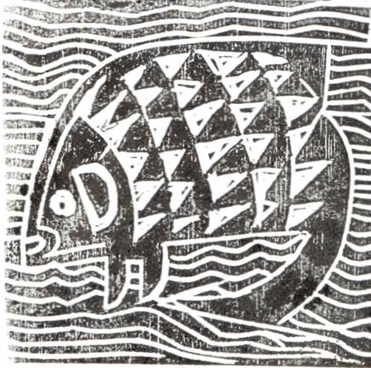 armadillo