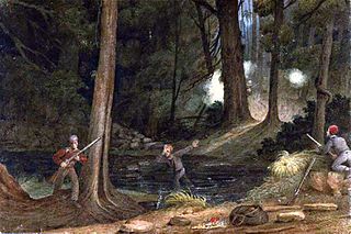 Bushrangers