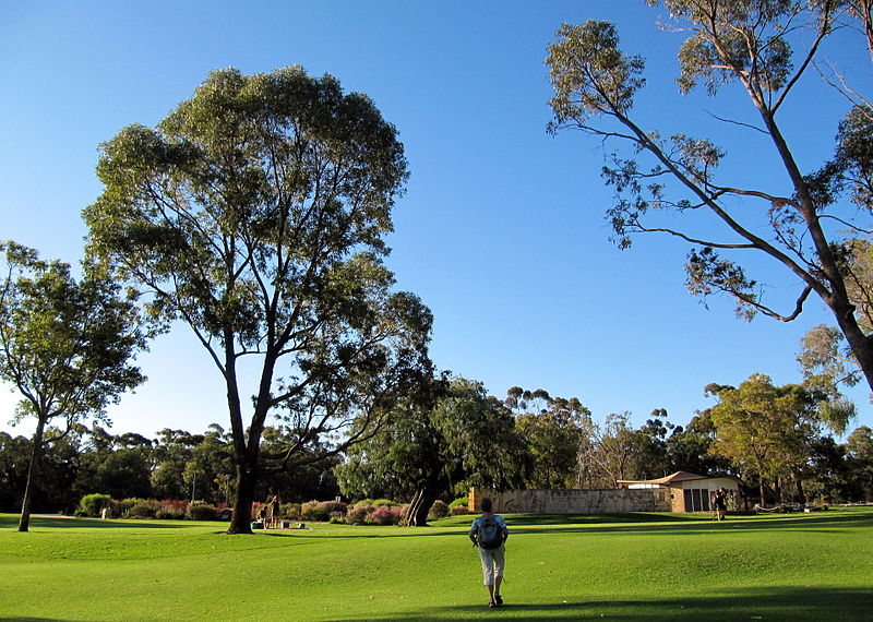 Western Australia Botanic Garden lawn