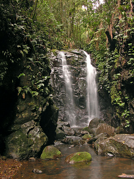 Box Log Falls Lamington National Park