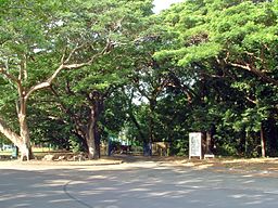 Botanic
Gardens