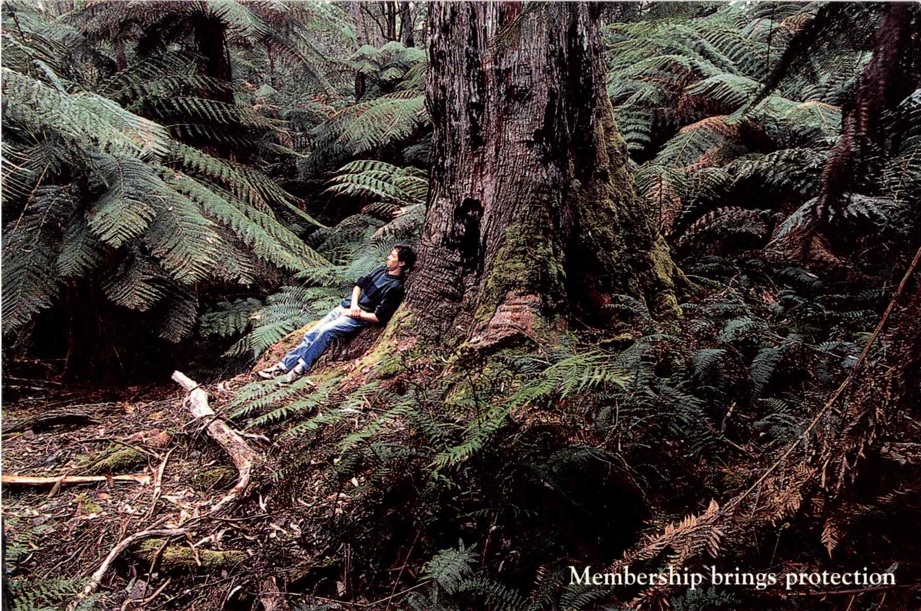 Deua Wilderness
plea
