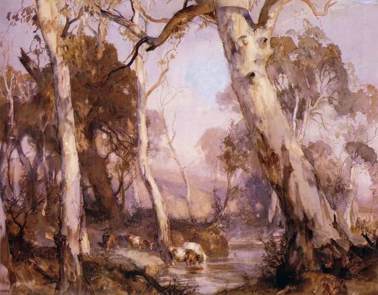 Heysen Cattle Drinking