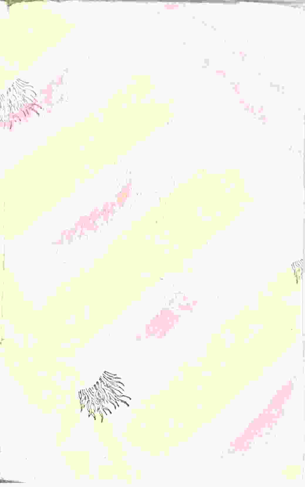 Notebook_09-01-09_front