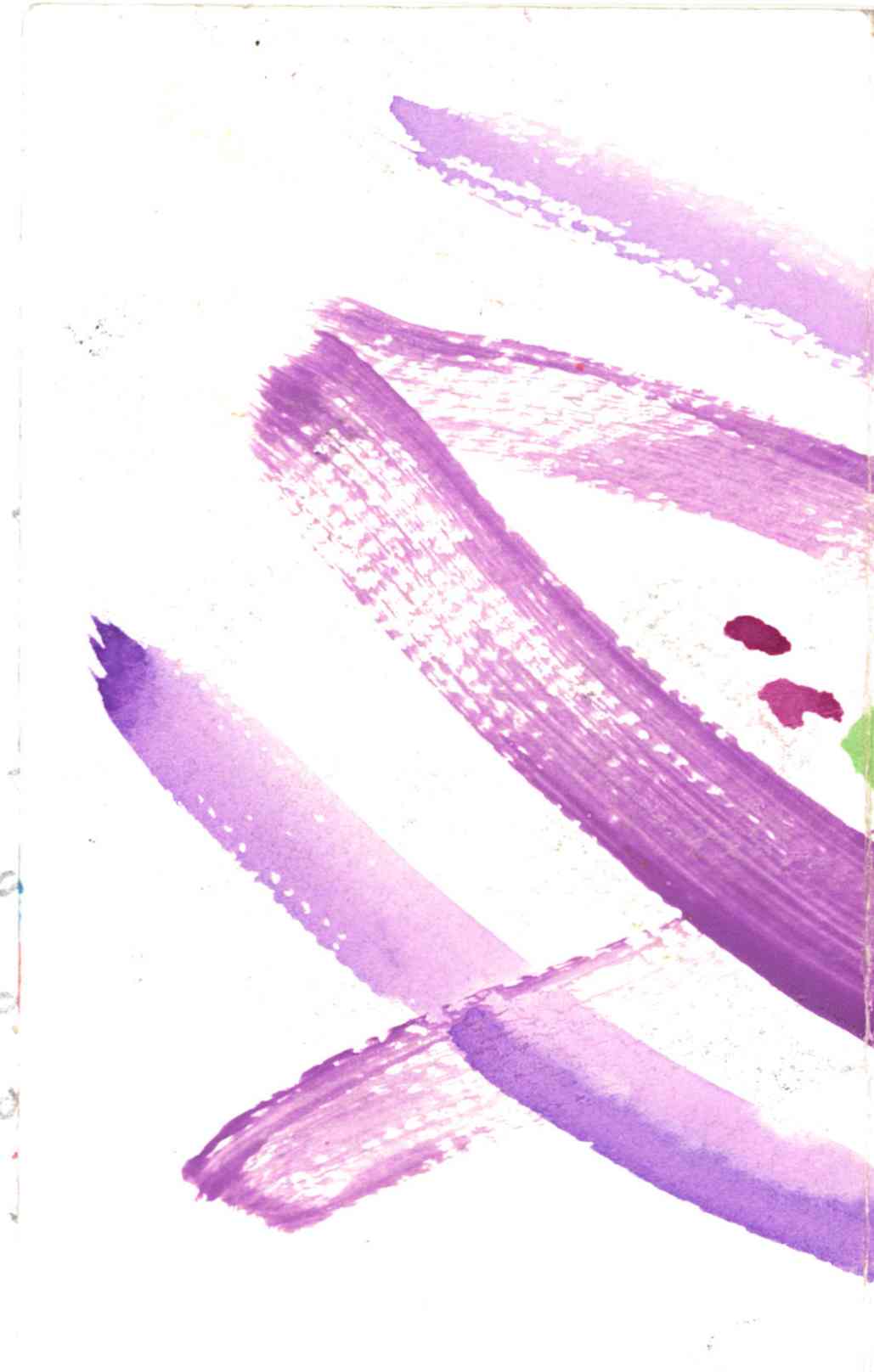 Notebook_3-11_back
