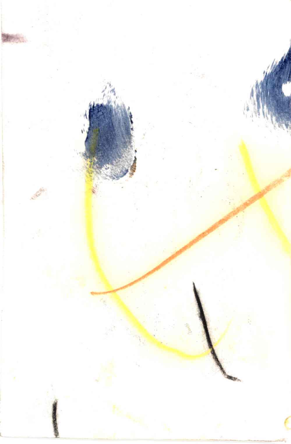 Notebook_3-25-11_back