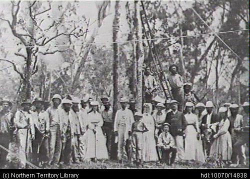Telephone pole Darwin 1870