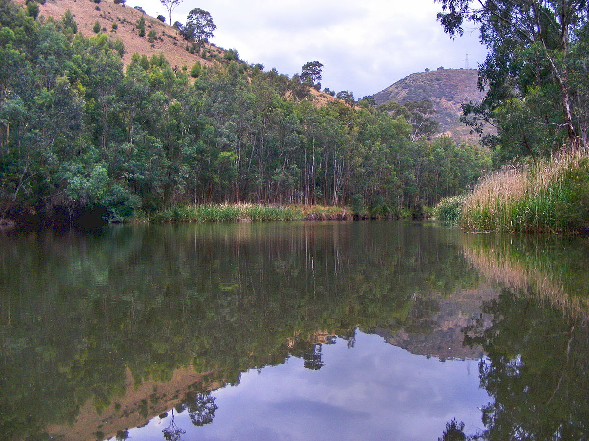 Torrens Wier at
          dusk