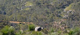 Trail in John
            Forest National Park