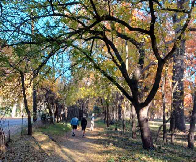 Bidwell Park